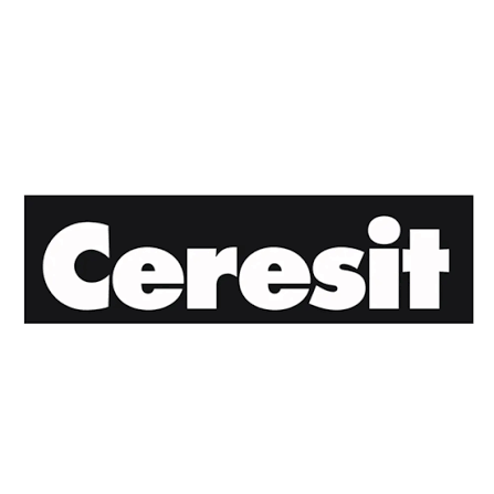 Ceresit – client corporate Egoodies